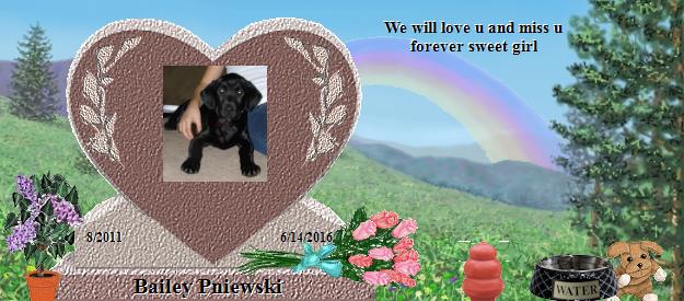 Bailey Pniewski's Rainbow Bridge Pet Loss Memorial Residency Image
