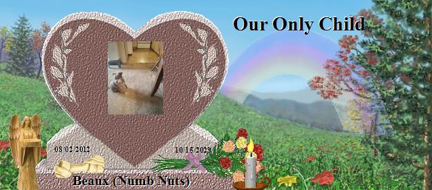 Beaux (Numb Nuts)'s Rainbow Bridge Pet Loss Memorial Residency Image