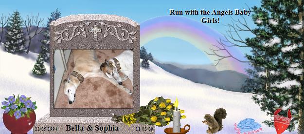 Bella & Sophia's Rainbow Bridge Pet Loss Memorial Residency Image