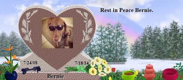 Bernie's Rainbow Bridge Pet Loss Memorial Residency Image