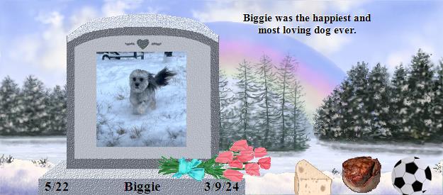 Biggie's Rainbow Bridge Pet Loss Memorial Residency Image