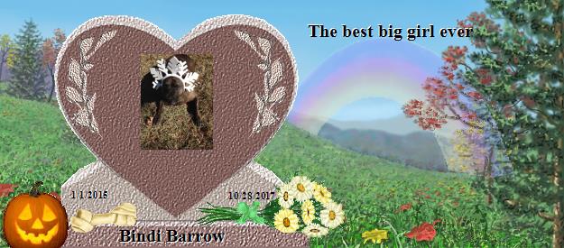 Bindi Barrow's Rainbow Bridge Pet Loss Memorial Residency Image