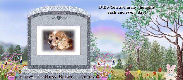 Bitsy Baker's Rainbow Bridge Pet Loss Memorial Residency Image
