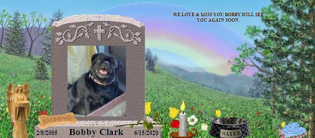 Bobby Clark's Rainbow Bridge Pet Loss Memorial Residency Image