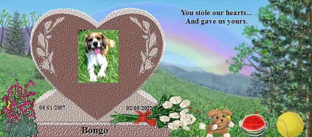 Bongo's Rainbow Bridge Pet Loss Memorial Residency Image