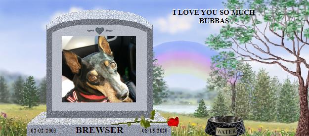BREWSER's Rainbow Bridge Pet Loss Memorial Residency Image