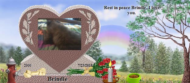 Brindle's Rainbow Bridge Pet Loss Memorial Residency Image