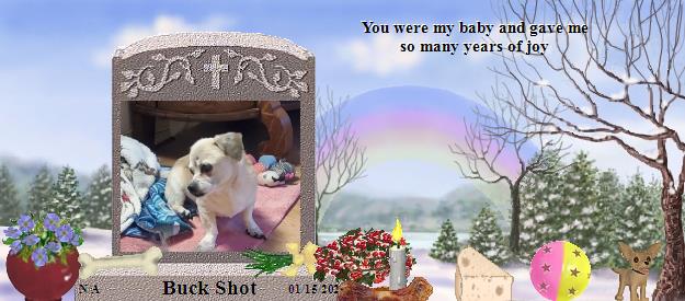 Buck Shot's Rainbow Bridge Pet Loss Memorial Residency Image