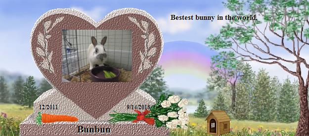 Bunbun's Rainbow Bridge Pet Loss Memorial Residency Image
