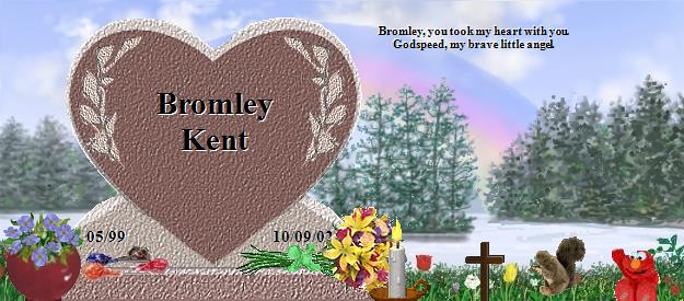Bromley Kent's Rainbow Bridge Pet Loss Memorial Residency Image