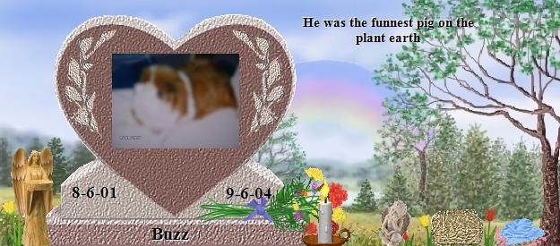 Buzz's Rainbow Bridge Pet Loss Memorial Residency Image