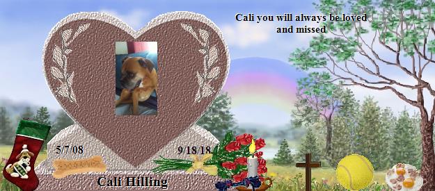 Cali Hilling's Rainbow Bridge Pet Loss Memorial Residency Image