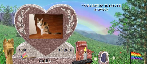 Callie's Rainbow Bridge Pet Loss Memorial Residency Image