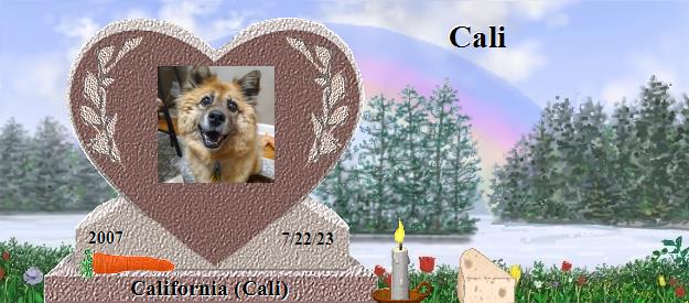 California (Cali)'s Rainbow Bridge Pet Loss Memorial Residency Image