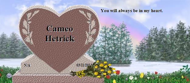Cameo Hetrick's Rainbow Bridge Pet Loss Memorial Residency Image