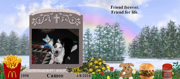 Cameo's Rainbow Bridge Pet Loss Memorial Residency Image
