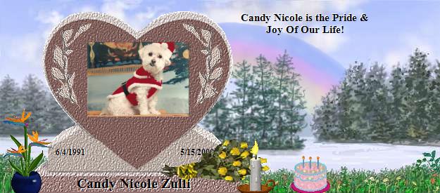 Candy Nicole Zulli's Rainbow Bridge Pet Loss Memorial Residency Image