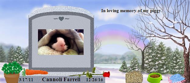Cannoli Farrell's Rainbow Bridge Pet Loss Memorial Residency Image
