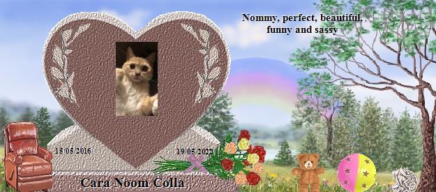 Cara Noom Colla's Rainbow Bridge Pet Loss Memorial Residency Image