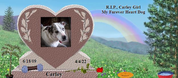 Carley's Rainbow Bridge Pet Loss Memorial Residency Image