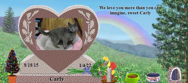 Carly's Rainbow Bridge Pet Loss Memorial Residency Image