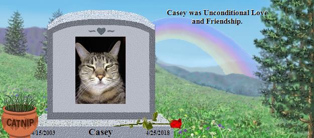 Casey's Rainbow Bridge Pet Loss Memorial Residency Image