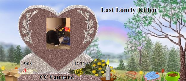 CC Caturano's Rainbow Bridge Pet Loss Memorial Residency Image