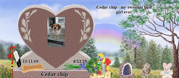 Cedar chip's Rainbow Bridge Pet Loss Memorial Residency Image
