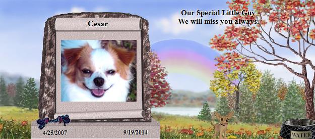 Cesar's Rainbow Bridge Pet Loss Memorial Residency Image
