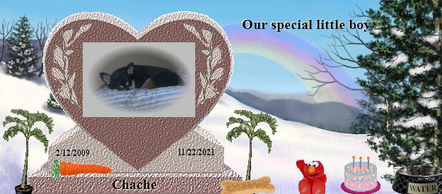 Chache's Rainbow Bridge Pet Loss Memorial Residency Image