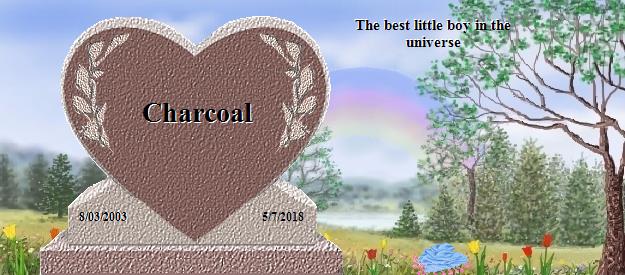 Charcoal's Rainbow Bridge Pet Loss Memorial Residency Image