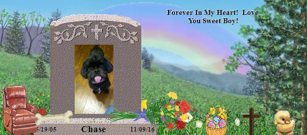 Chase's Rainbow Bridge Pet Loss Memorial Residency Image