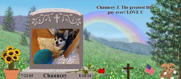 Chauncey's Rainbow Bridge Pet Loss Memorial Residency Image