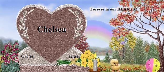 Chelsea's Rainbow Bridge Pet Loss Memorial Residency Image