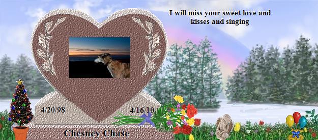 Chesney Chase's Rainbow Bridge Pet Loss Memorial Residency Image
