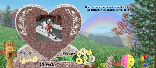 Chestie's Rainbow Bridge Pet Loss Memorial Residency Image