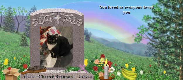 Chester Brannon's Rainbow Bridge Pet Loss Memorial Residency Image