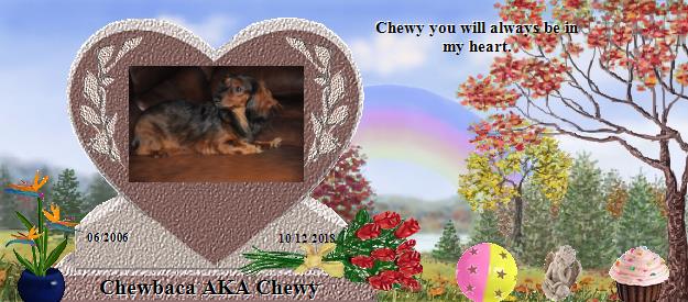 Chewbaca AKA Chewy's Rainbow Bridge Pet Loss Memorial Residency Image