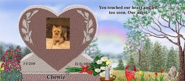 Chewie's Rainbow Bridge Pet Loss Memorial Residency Image