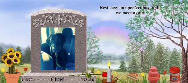 Chief's Rainbow Bridge Pet Loss Memorial Residency Image