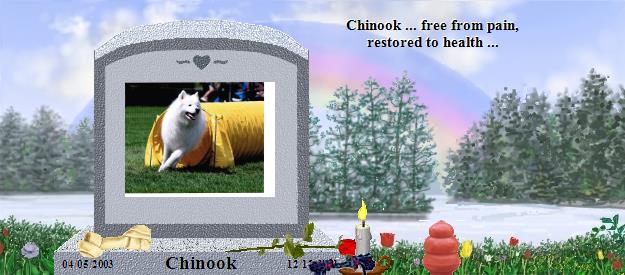 Chinook's Rainbow Bridge Pet Loss Memorial Residency Image