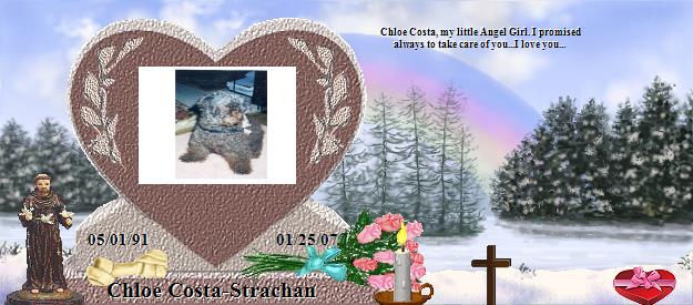 Chloe Costa-Strachan's Rainbow Bridge Pet Loss Memorial Residency Image