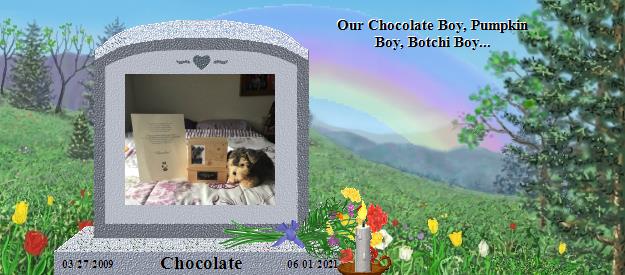 Chocolate's Rainbow Bridge Pet Loss Memorial Residency Image
