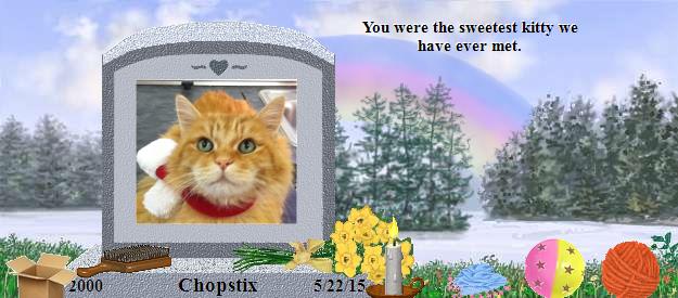 Chopstix's Rainbow Bridge Pet Loss Memorial Residency Image