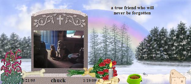 chuck's Rainbow Bridge Pet Loss Memorial Residency Image