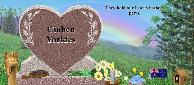 Ciaben Yorkies's Rainbow Bridge Pet Loss Memorial Residency Image
