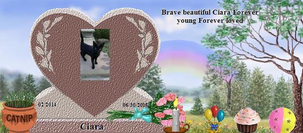 Ciara's Rainbow Bridge Pet Loss Memorial Residency Image