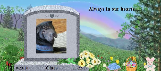 Ciara's Rainbow Bridge Pet Loss Memorial Residency Image