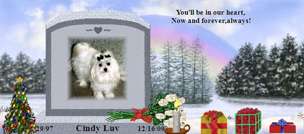 Cindy Luv's Rainbow Bridge Pet Loss Memorial Residency Image