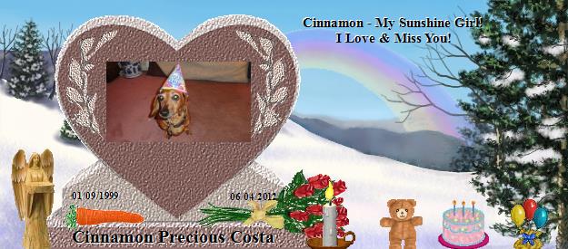 Cinnamon Precious Costa's Rainbow Bridge Pet Loss Memorial Residency Image